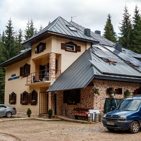 Pension Cabana Cetatile Ponorului 帕迪斯 外观 照片