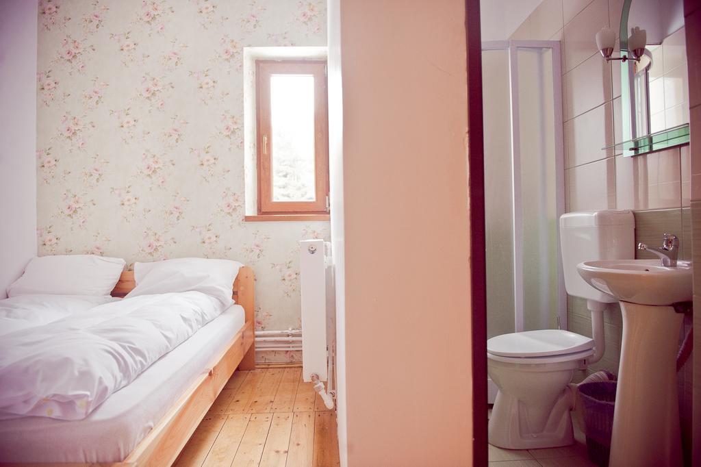 Pension Cabana Cetatile Ponorului 帕迪斯 客房 照片