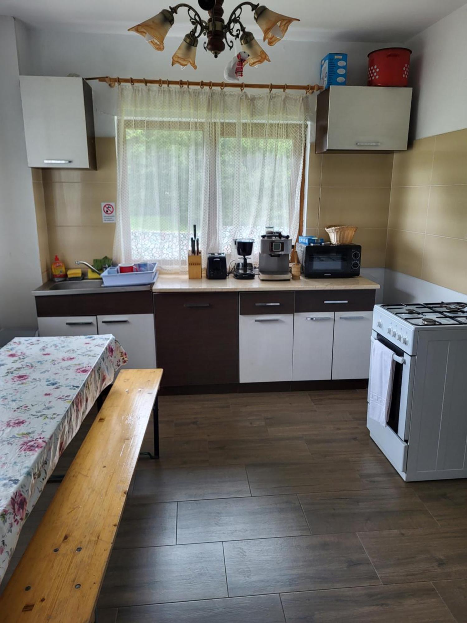 Pension Cabana Cetatile Ponorului 帕迪斯 外观 照片