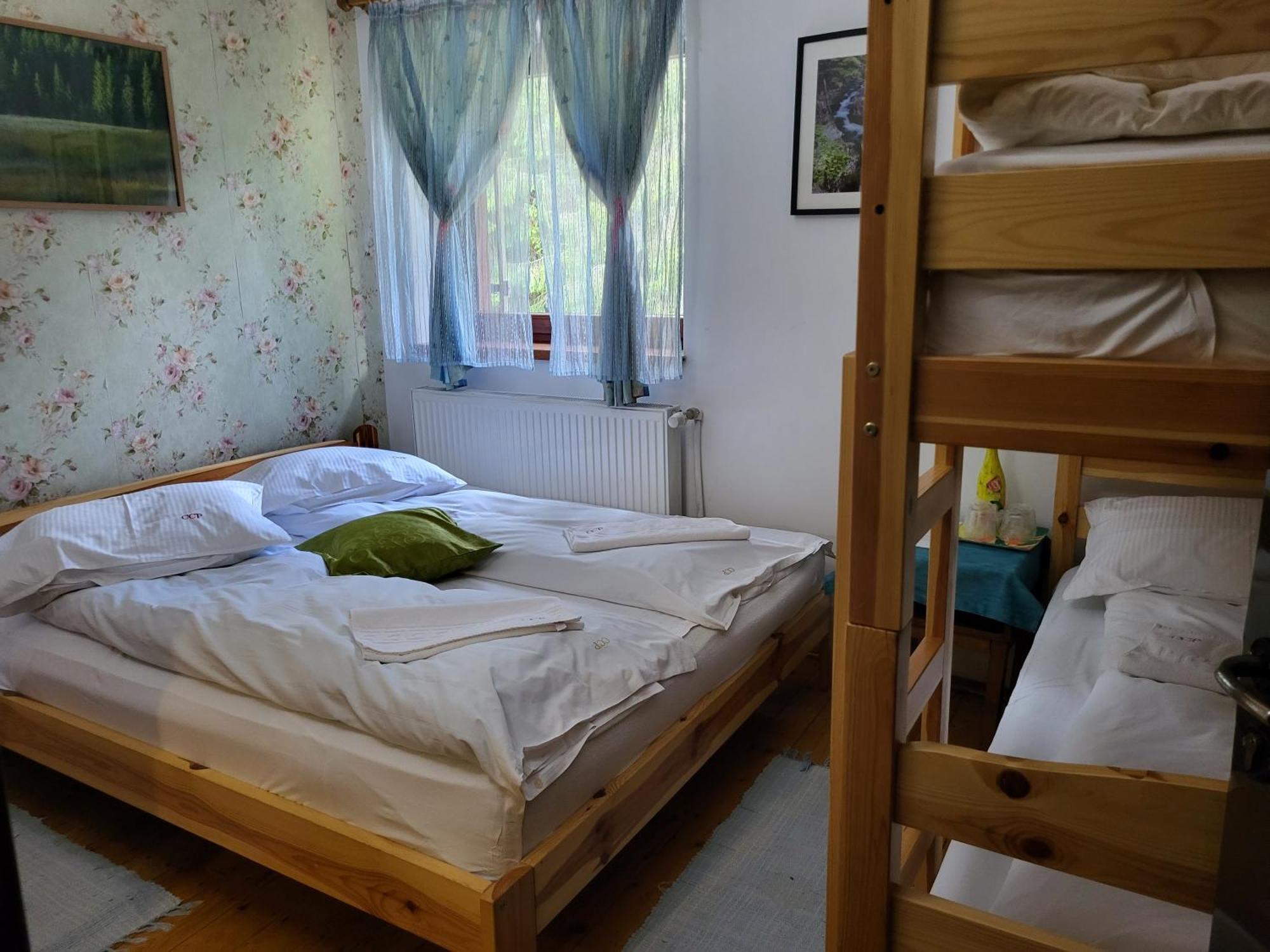 Pension Cabana Cetatile Ponorului 帕迪斯 外观 照片