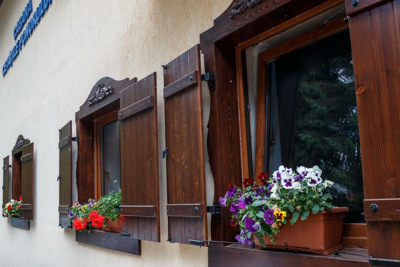 Pension Cabana Cetatile Ponorului 帕迪斯 外观 照片